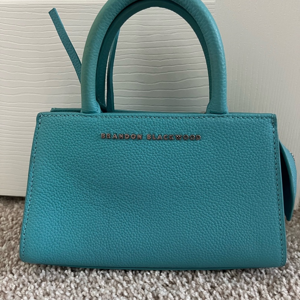 Brandon Blackwood Aqua Mini Bag